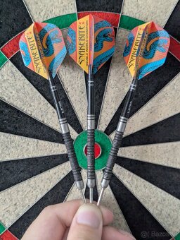 Peter Wright double world champion SE steel sipky - 2