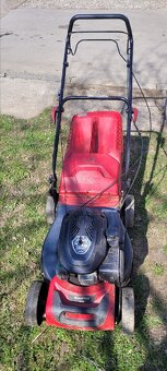 Kosacka Mountfield CP1 484 S - 2