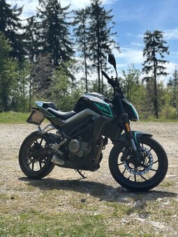 Cfmoto 300nk 2021 - 2