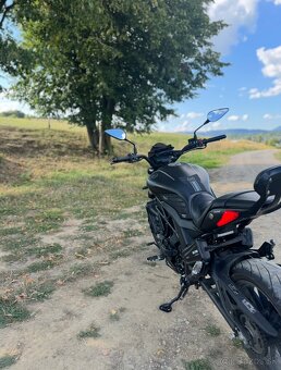 Benelli 502C Cruiser, motorka, motocykel - 2