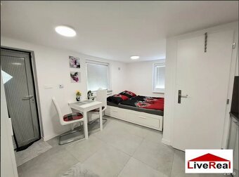 1 izb byt,Zlaté piesky, s pozemkom 250m2,voda, 50m od jazera - 2