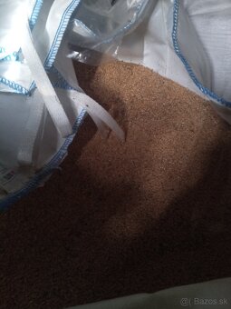 Predám pšenicu - 2
