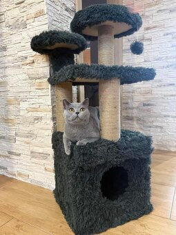 Škrabadlo pre mačku čierne - 2