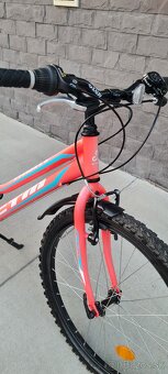 Bicykel Ctm 24" Mony - 2