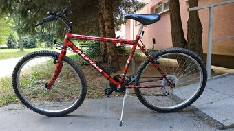 Horský bicykel Alpina - 2