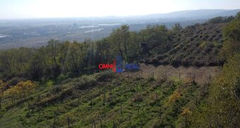 Rekreačný pozemok nad Račou neďaleko Stupavskej ulice - 2313 - 2