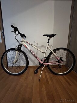 Bicykel - 2
