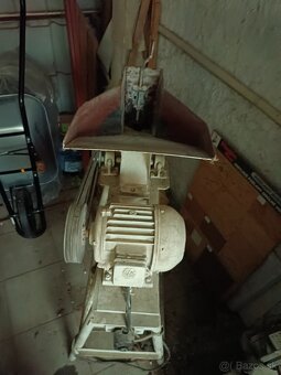 Srotovnik kladivkovy - 2