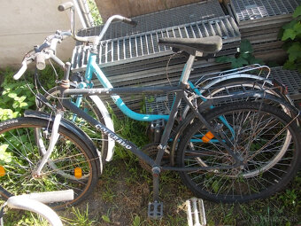 Stary favorit,eska - 2