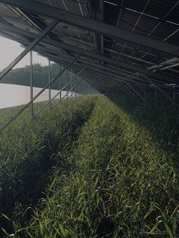 MONTÉR FOTOVOLTIKA SOLARPARK - NEMECKO - 2