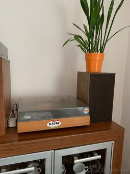 Gramofon Tesla - 2