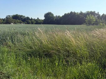 BOJNA - investičný pozemok na výstavbu RD, výborna lokalita - 2