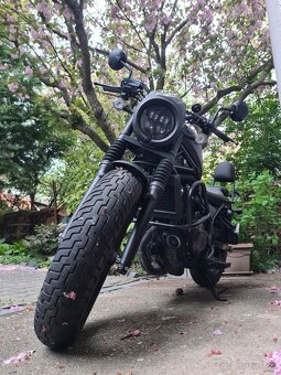 Honda Rebel 500 Special Edition - 2