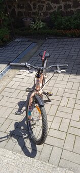 Bicykel Dema - 2