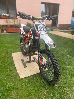 Pitbike Kayo 140tt - 2