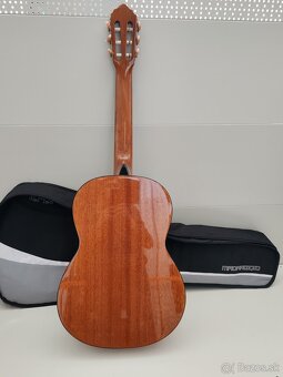 Gitara Cort - 2