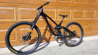 NS FUZZ 2024 - 2