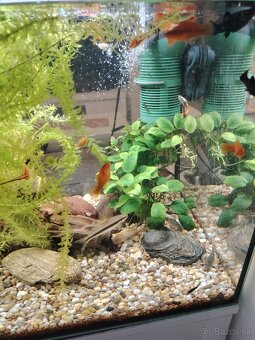 Predám 160l akvárium - 2