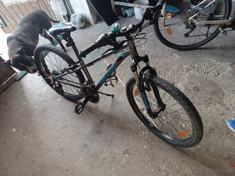 Detský bicykel Kellys - 2