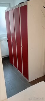 Kovova Satnova skrika - 2