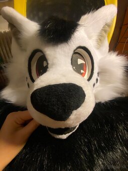 Mini partial fursuit s dvoma chvostami - 2