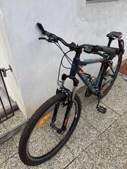 CTM REIN 1.0 - 2