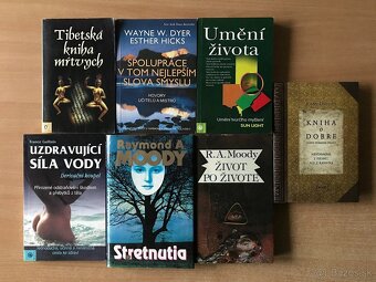 Moody, Benzoniová, Filan, Detoxikácia.... - 2