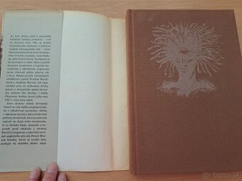 Frederik Hetmann: Stanley hľadá Livingstona - 2