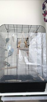 Andulky s klietkou - 2