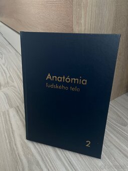 Anatómia Mráz - 2