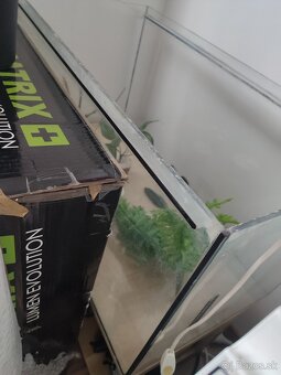 Terárium s umelými kvetmi vo vnútri - 2