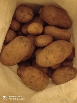 Konzumné zemiaky - 2