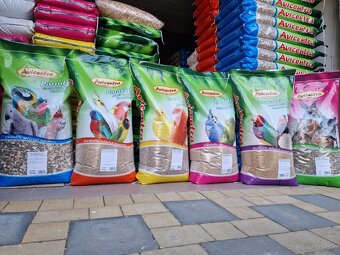 Agapornis,krmivo - 2