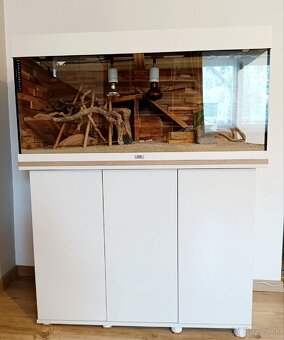 Terarium komplet - 2