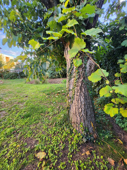 SUPER PONUKA A CENA - novší bungalov v tichej ulici - 2