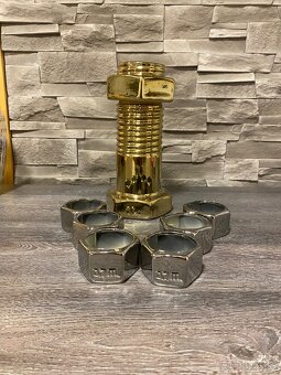 🔩KERAMICKÁ ZLATÁ SKRUTKA FĽAŚA DARĆEK🔩 - 2