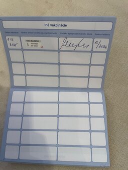 Baranček Zakrslý - 2