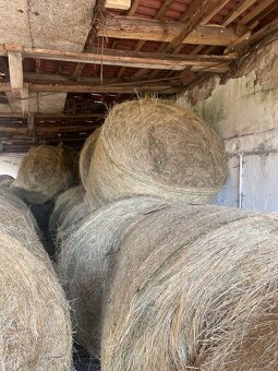 Okruhle baliky -seno - 2