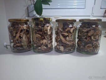 Predám sušené dubaky bez červíkov. - 2