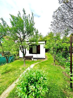 Záhradka Skalica, Koziny - 2
