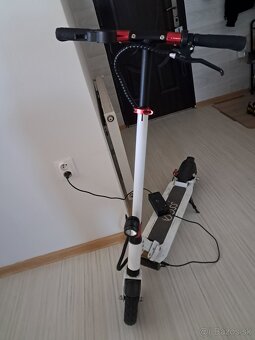 Predamm - 2