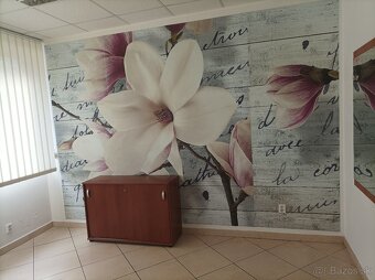 Predám zabehnutý svadobný salón - 2