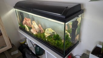 Akvárium 120 l - 2
