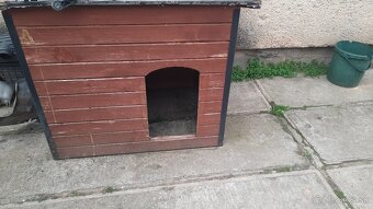 Predám zateplenu budu pre väčšieho psa - 2
