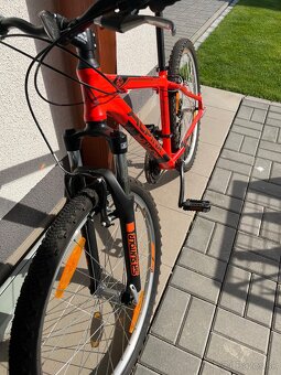 bicykel alpina - 2