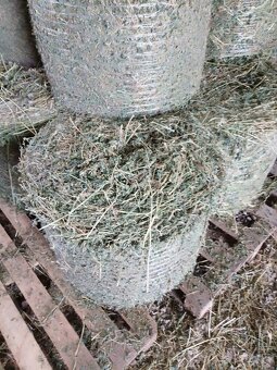 lucerka - 2