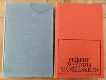 STRINDBERG A: Príbehy zo života manželského / Syn slúžky - 2