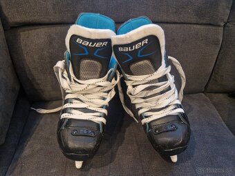 Bauer - 2