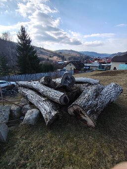 Predám orechové drevo - 2