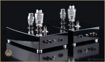 Prodám špičkové audiofilské lampové monobloky / pár - 2